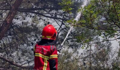 Qatari Rescue Team Joins Wildfire Response Effort in Central Spain